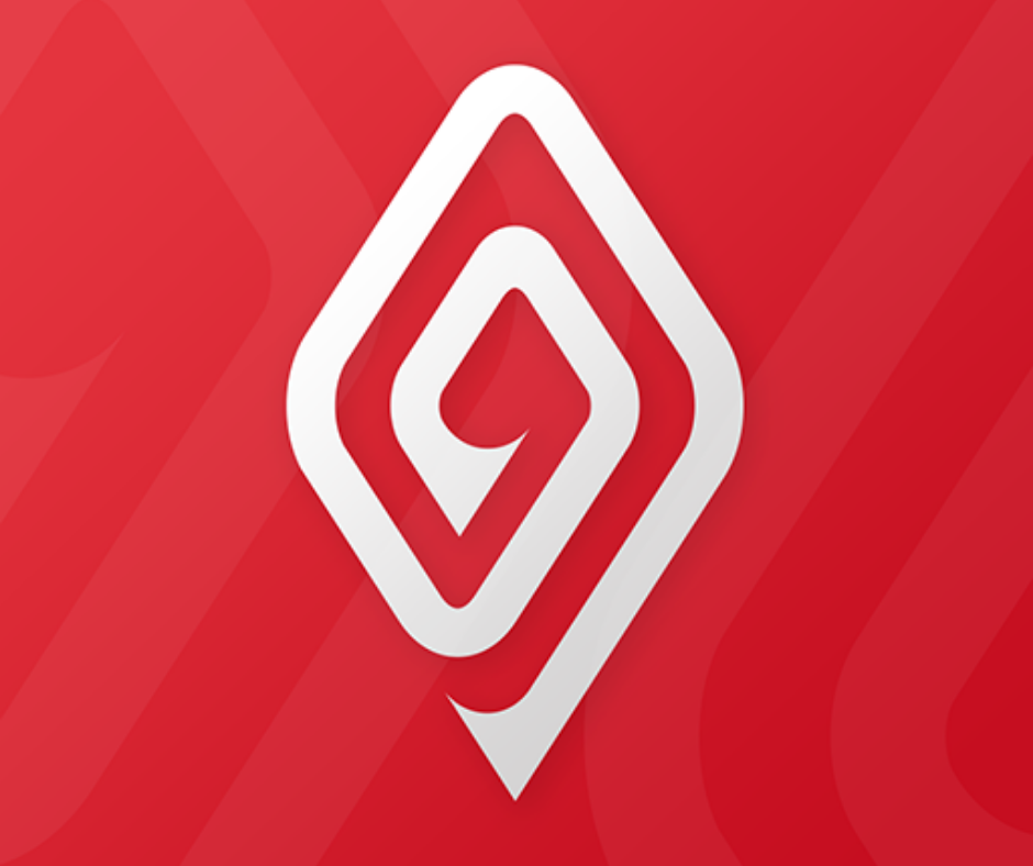 Lezzoo Security Enhancement — project artwork